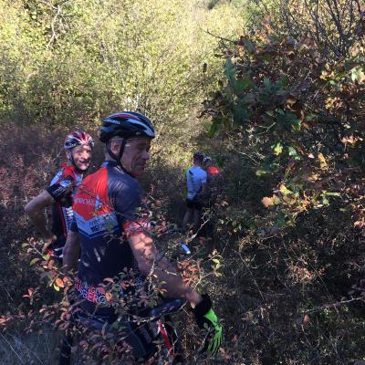 Img 20181005 Wa0004 20181015 1271617006